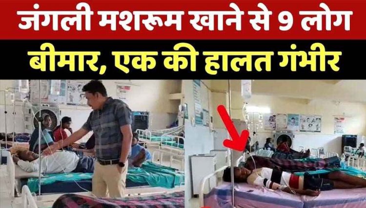 जंगली मशरुम खाने से एक ही परिवार के 9 लोग बीमार, एक की हालत नाजुक, मचा हड़कंप, जिला अस्पताल रेफर, जानिए पहचान के संकेत