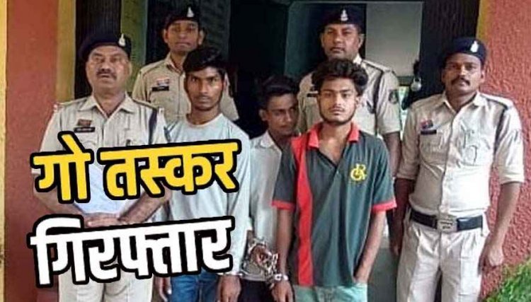 छत्तीसगढ़ में हो रही गौ तस्करी, पुलिस ने 8 गाय और छोटा हाथी वाहन जप्त, अमन समेत 3 आरोपियों को रंगे हाथ गिरफ्तार कर भेजा जेल