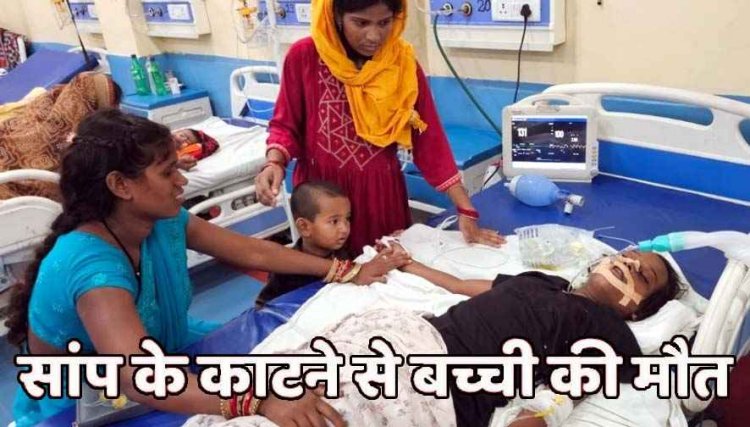 घर के आंगन में सो रही दो सगी बहनों को सांप ने डंसा, सर्पदंश से 10 माह की मासूम बच्ची की मौत, दूसरी बहन की हालत नाजुक, गांव में पसरा मातम