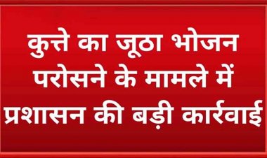कुत्ते का जूठा भोजन परोसने के मामले में प्रशासन का बड़ा एक्शन, प्रधान पाठक और शिक्षक सस्पेंड, तीन शिक्षकों का रोका गया इंक्रिमेन्ट