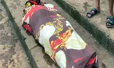 नहाने गई बुजुर्ग महिला की तालाब में डूबने से गई जान, रात में फिसलकर गिरी, इधर बच्ची और युवती की डूबकर मौत, पसरा मातम