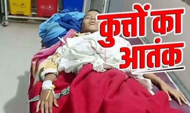 धमतरी में आवारा कुत्तों का आतंक, 9 साल की नाबालिग छात्रा पर किया हमला, हालत नाजुक, स्थानीय लोग काफी परेशान, गांव में दहशत का माहौल