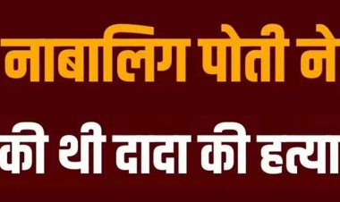 अनुशासन का पाठ पढ़ाना पड़ा भारी, दादा ने मोबाइल पर बात करने से टोका, नाबालिग पोती ने कुल्हाड़ी से काट डाला, इलाके में मचा हड़कंप