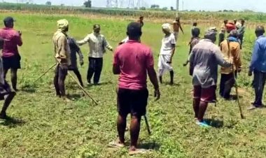 कबीरधाम में दो पक्षों के बीच विवाद ने लिया हिंसक रुप, तलवार और लाठी-डंडों से हमला, अफरा-तफरी का माहौल, कई घायल, अतिरिक्त पुलिस बल तैनात