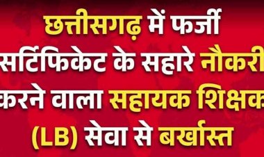 छत्तीसगढ़ में लम्बे समय से फर्जी सर्टिफिकेट के सहारे सरकारी नौकरी में पदस्थ सहायक शिक्षक शासकीय सेवा से बर्खास्त