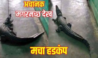 अचानक घर में घुस गया 4 फीट लंबा मगरमच्छ, परिजनों में मची अफरा-तफरी, दहशत में लोग, रेस्क्यू के बाद लोगों ने ली राहत की सांस