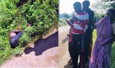 3-4 दिन से सड़क किनारे झाड़ियों में सड़ता रहा अज्ञात शव, जानवरों ने नोचकर निकाला बाहर, लाश मिलने से फैली सनसनी, हत्या की आशंका