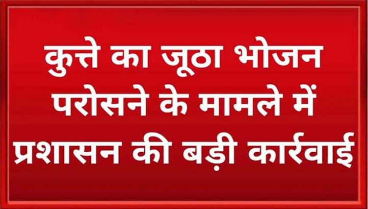 कुत्ते का जूठा भोजन परोसने के मामले में प्रशासन का बड़ा एक्शन, प्रधान पाठक और शिक्षक सस्पेंड, तीन शिक्षकों का रोका गया इंक्रिमेन्ट