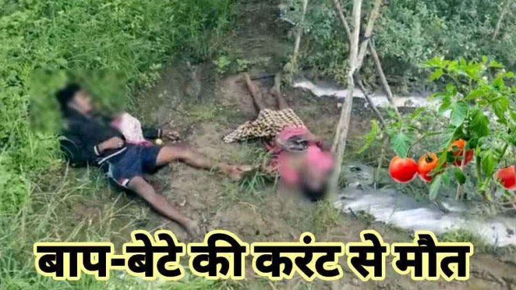 टमाटर चोरी करने खेत में घुसना बाप-बेटे को पड़ा महंगा, दोनों की करंट लगने से मौत, गांव में फैली सनसनी, जांच में जुटी पुलिस