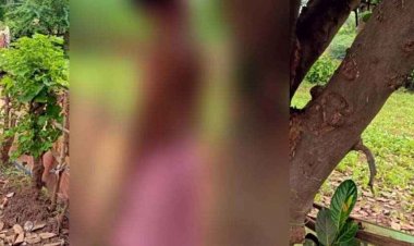 कटहल के पेड़ पर लटकती मिली अधेड़ की लाश, इलाके में सनसनी, गांव में शोक और दहशत का माहौल, जांच में जुटी पुलिस