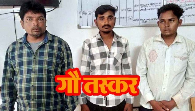 फिंगेश्वर पुलिस की बड़ी कार्रवाई, गौवंशों की तस्करी का हुआ खुलासा, 3 गौ तस्कर गिरफ्तार, 8 गौवंश और टाटा 407 वाहन जब्त
