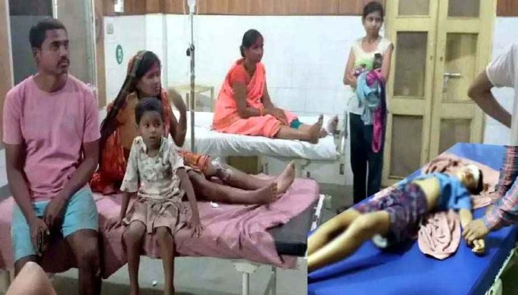 तेज रफ्तार SUV ने गणेश विसर्जन करने जा रहे श्रद्धालुओं को रौंदा, सिर में चोट से 6 वर्षीय मासूम बच्चे की मौत, 8 श्रद्धालु घायल