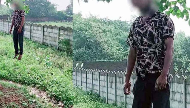 नगर पंचायत में कार्यरत कर्मचारी ने फांसी लगाकर की आत्महत्या, नहर किनारे पेड़ में लटकती मिली लाश, कारण अज्ञात, जांच में जुटी पुलिस