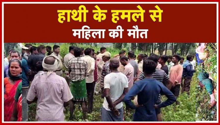 हाथियों का बेखौफ आतंक, हाथी के हमले से महिला की दर्दनाक मौत, छत-विक्षत मिली लाश, ग्रामीणों का वन विभाग पर फूटा गुस्सा