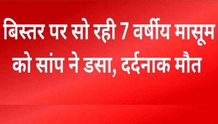 मां के साथ बिस्तर पर सो रही 7 वर्षीय मासूम बच्ची को सांप ने डसा, दर्दनाक मौत, परिजनों का रो-रोकर बुरा हाल, विशेष सतर्कता बरतने की अपील