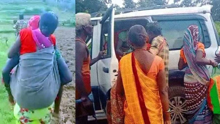 सर्पदंश पीड़िता को पीठ में लादकर 3 KM चले परिजन, हॉस्पिटल पहुंचने में देरी, महिला की हालत गंभीर, कांग्रेस ने वीडियो शेयर कर बताया शर्मनाक