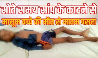 बिस्तर पर सो रहे 6 साल के मासूम  बच्चे को जहरीले सांप ने डसा, इलाज के दौरान मौत, परिजनों का रो-रोकर बुरा हाल, गांव में भी मातम पसरा