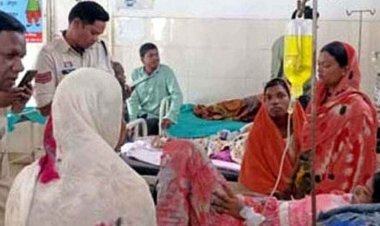 हाथी को देखकर भाग रही युवती गिरकर घायल, 29 किसानों की फसल को रौंदा, गांव में रात में आ रहा भालू, इधर बीमार ऊंट की मौत, मालिक पर कार्रवाई की मांग