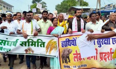 हाथियों के आतंक से परेशान हजारों ग्रामीणों ने मैनपुर में जंगी रैली निकाल वन विभाग का किया घेराव, पुलिस के साथ जमकर झुमाझटकी