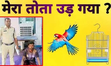 तोते के उड़ जाने पर घर में मचा बवाल, दो भाइयों में खूनी जंग, डंडे से पीटकर छोटे भाई को किया घायल, अस्पताल मे भर्ती, विवाद बना गांव में चर्चा का विषय