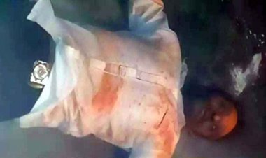 मंदिर में घुसकर हनुमान जी की मूर्ति से अभद्रता, वीडियो वायरल, अपमान पर इलाके में भारी आक्रोश, आरोपी विनोद महोबिया गिरफ्तार