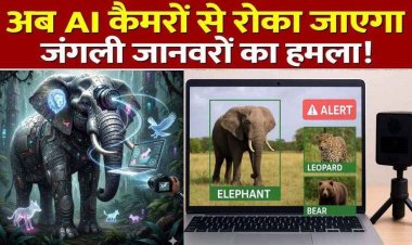 वन विभाग में डीएफओ वरुण जैन की पहल से अब AI कैमरा रखेगा जंगली जानवरों पर निगरानी, हाथी एप और संरक्षण मुहिम को मिली राष्ट्रीय सराहना