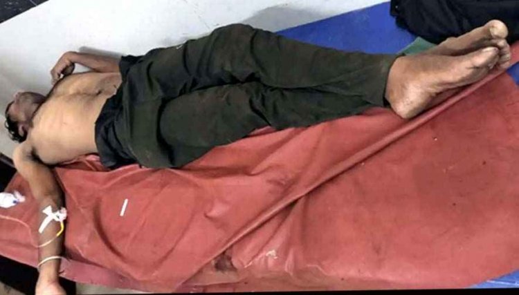 बंदर ने छेड़ा मधुमक्खी का छत्ता, बेकाबू मधुमक्खियों ने ट्रेन से उतरे पैरालिसिस शख्स को 20 मिनट तक मारा डंक, मची अफरा-तफरी, हालत नाजुक