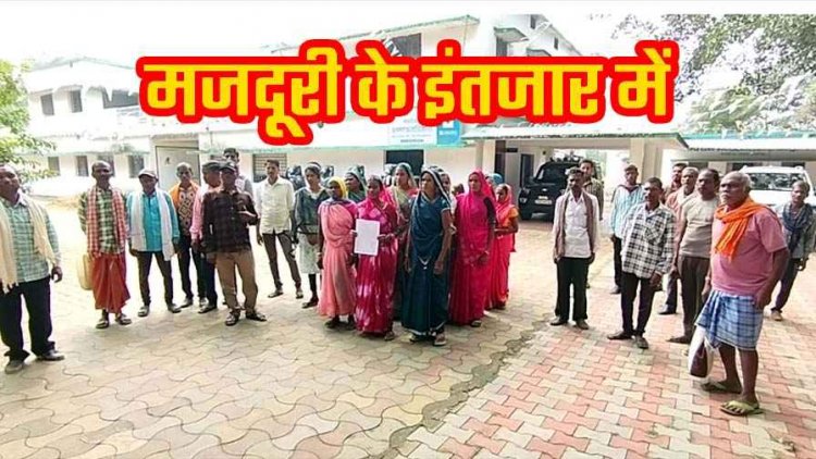4 महीने से नहीं मिली मजदूरी, वन विभाग कार्यालय का घेराव कर मजदूरों ने लगाई इंसाफ की गुहार, दीपावली से पहले भुगतान की मांग, DFO ने जताया भरोसा