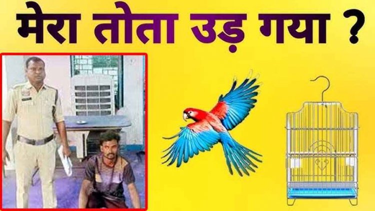 तोते के उड़ जाने पर घर में मचा बवाल, दो भाइयों में खूनी जंग, डंडे से पीटकर छोटे भाई को किया घायल, अस्पताल मे भर्ती, विवाद बना गांव में चर्चा का विषय