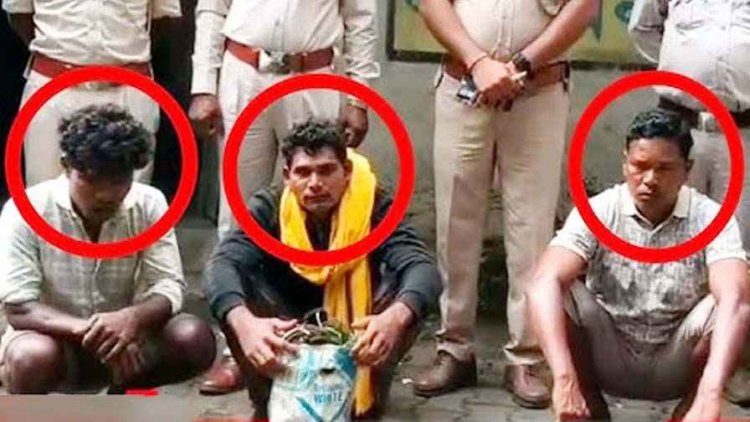 शिकारियों ने जंगली सुअर को मारने लगाया करंट, चपेट में दंतेल हाथी की मौत, भाजपा नेत्री के पति बसंत राठिया समेत तीन आरोपी गिरफ्तार