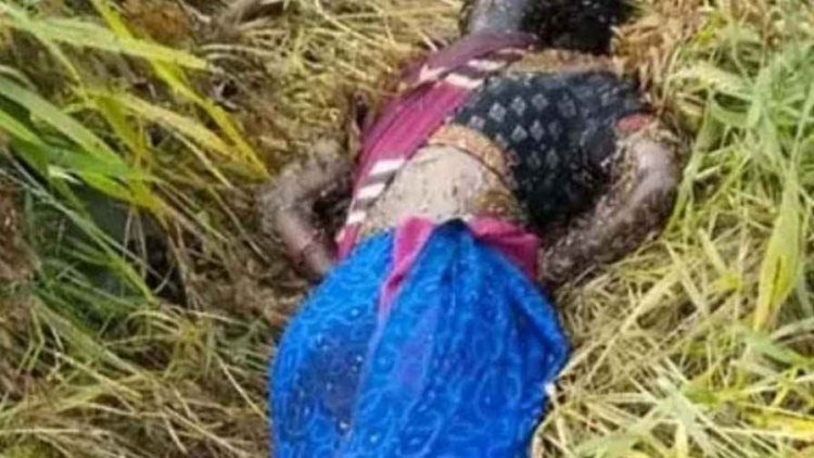 वन्यप्राणी को मारने लगाए गए करंट तार की चपेट में आने से मौत, महिला की जंगल में मिली लाश, मौके से तार और अन्य सामान बरामद