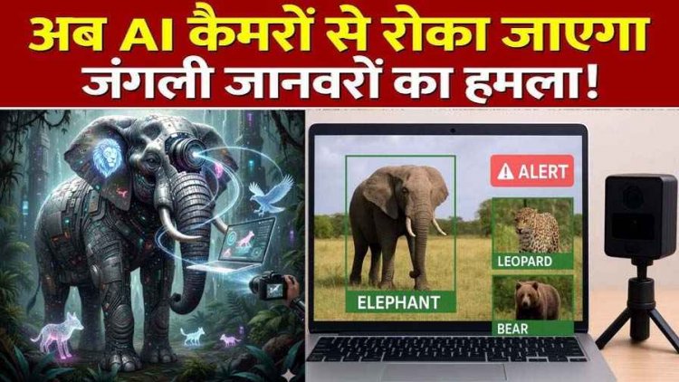 वन विभाग में डीएफओ वरुण जैन की पहल से अब AI कैमरा रखेगा जंगली जानवरों पर निगरानी, हाथी एप और संरक्षण मुहिम को मिली राष्ट्रीय सराहना