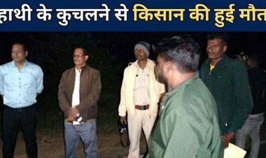 हाथियों ने किसान को कुचलने के बाद मृतक के घर जाकर मचाया आतंक, अंतिम संस्कार में आए रिश्तेदारों के वाहनों को कुचला, मची भगदड़