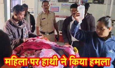 खेत में काम कर रही महिला पर हाथी का हमला, गंभीर घायल, गड्ढे में गिरने से बची जान, वन विभाग मौके पर पहुंचा वन विभाग का अमला