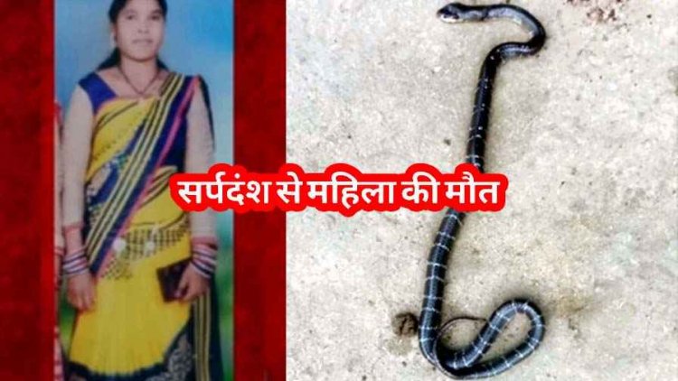 खेत में बने घर पर सर्पदंश से महिला की मौत, सांप के डसने से दो दिन में दूसरी घटना के बाद ग्रामीणों में दहशत का माहौल