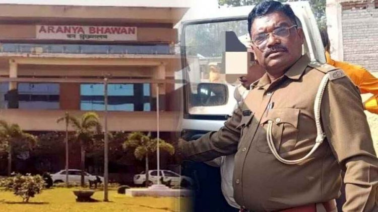 भ्रष्टाचार और लापरवाही का जंगल, फर्जी भुगतान और गंभीर आरोपों में फंसे अधिकारी पर विभागीय कार्रवाई, रेंजर रमेश बिलासपुर अटैच
