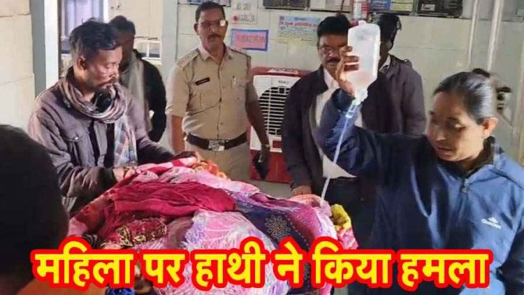 खेत में काम कर रही महिला पर हाथी का हमला, गंभीर घायल, गड्ढे में गिरने से बची जान, वन विभाग मौके पर पहुंचा वन विभाग का अमला