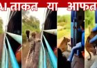 चलती ट्रेन से तेंदुए ने युवक को खींचा!, दरवाजे से नीचे गिरा दिया!, AI का अब तक का सबसे खतरनाक वीडियो, सोशल मीडिया पर जमकर वायरल