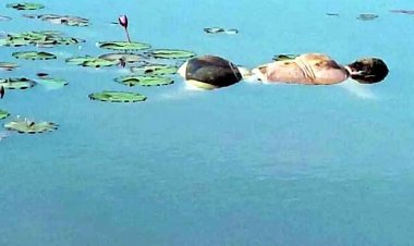 शरीर पर पत्थर बंधे हालत में मिली अज्ञात युव‍क की लाश, इलाके में मचा हड़कंप, हत्या की आशंका से दहशत से दहशत का माहौल, जांच में जुटी पुलिस