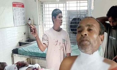 बकरियों के झुंड के साथ घुसा जंगली सुअर, चौकीदार पर किया हमला, बुजुर्ग ने जान बचाने किया संघर्ष, गंभीर रूप से घायल, अस्पताल में भर्ती