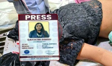 रायपुर में दर्दनाक हादसा, सड़क पार कर रही महिला पत्रकार को तेज रफ्तार ट्रेलर ने कुचला, हालत नाजुक, चालक फरार, तलाश जारी