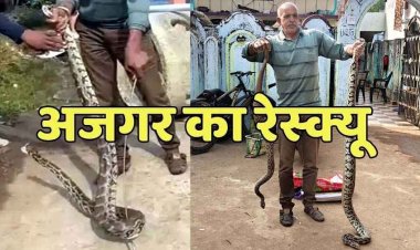 धमतरी वाटर प्लांट में अजगर का रेस्क्यू, मच गई चीख पुकार, फिल्टर चेंबर में घुसने से पहले स्नेक कैचर ने बचाया, घर से रसेल वाइपर को भी पकड़ा