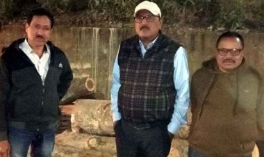 नवापारा में बड़ा एक्शन, प्रतिबंधित 32 अर्जुन लकड़ी के गोले जप्त, राजस्व विभाग ने की कार्रवाई, मौके पर पहुंचे नायब तहसीलदार, मचा हड़कंप