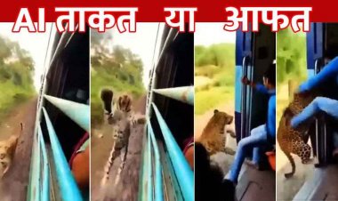 चलती ट्रेन से तेंदुए ने युवक को खींचा!, दरवाजे से नीचे गिरा दिया!, AI का अब तक का सबसे खतरनाक वीडियो, सोशल मीडिया पर जमकर वायरल