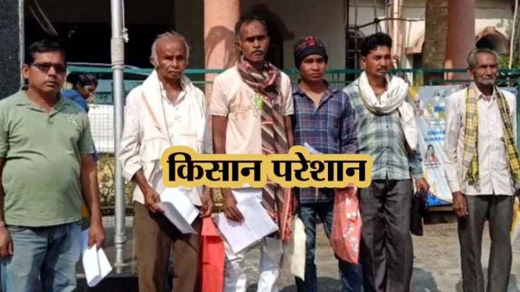 ऑनलाइन सिस्टम बन रहा परेशानी की वजह, महीनों बीत जाने के बाद भी धान नहीं बेच पा रहे किसान, दफ्तरों के चक्कर लगाने मजबूर