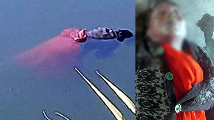 महानदी में तैरती मिली अज्ञात महिला की लाश, नहीं हो पाई शिनाख्त, इलाके में फैली सनसनी, जांच में जुटी पुलिस, पूछताछ जारी