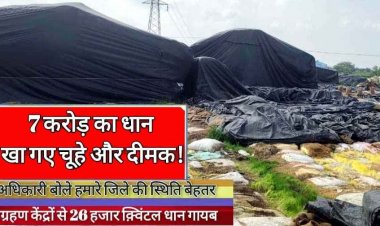 7 करोड़ का 26 हजार क्विंटल धान गायब, सुनियोजित तरीके से हेराफेरी का आरोप, खा गए चूहे-दीमक!, अधिकारी बोले- प्रदेश में हमारे जिले की स्थिति बेहतर