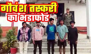 गौ तस्करी नाकाम, 56 गौ-वंशों की तस्करी कर बूचड़खाना लेकर जा रहे 5 युवकों को पुलिस ने किया गिरफ्तार, अंतरराज्यीय पशु तस्करी की आशंका