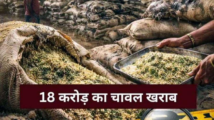 18 करोड़ के 30 हजार क्विंटल चावल में पड़े फफूंद, साफ कर खपाने की कोशिश, मिलीभगत की आशंका, गोदाम प्रभारी और मैनेजर फरार