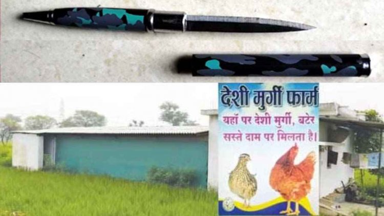 मुर्गा पार्टी का खूनी न्यू ईयर, चाकू लेकर मुर्गी लूटने पहुंचे बदमाश, नए साल का जश्न मनाने किसान को लहूलुहान कर लूट ले गए 20 देशी मुर्गे